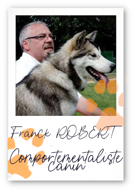 Comportementaliste - Educateur canin - Carcassonne - Aude